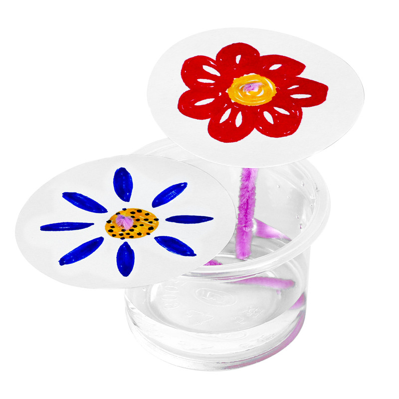 魔法花朵diy手工自制毛细现象