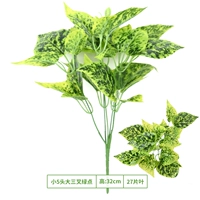 Маленькая 5 голов, большая зеленая точка тройнала