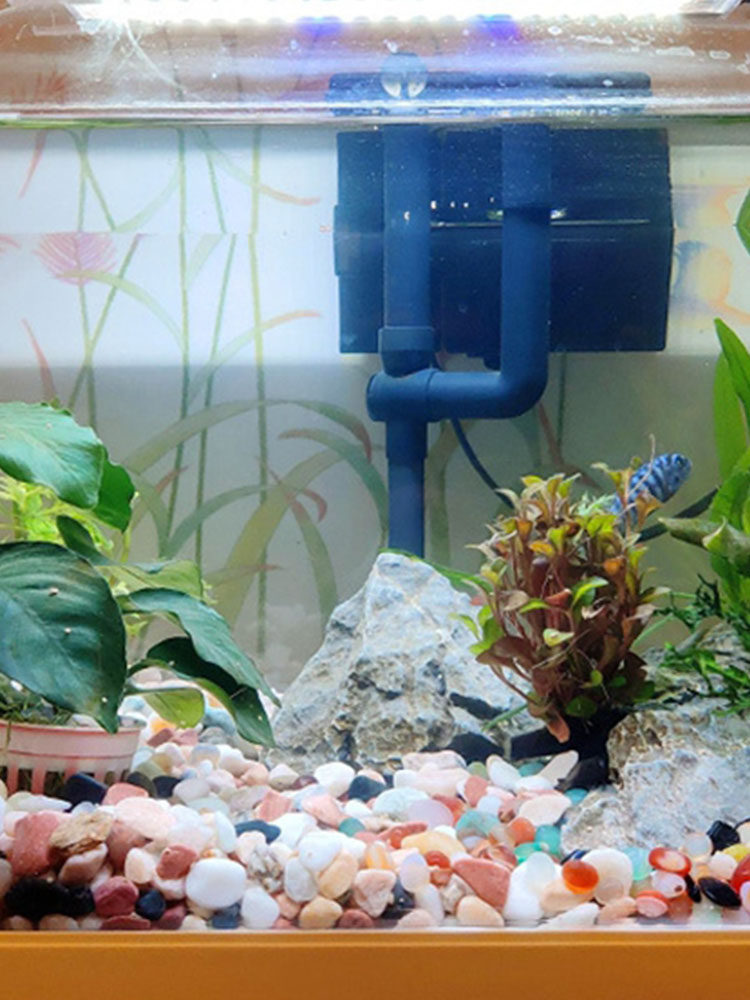 天然小彩石子鱼缸专用装饰草龟缸造景摆件铺底砂五彩雨花石头创意