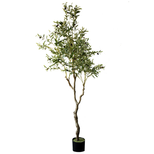 七茉 仿真绿植橄榄树大型植物树盆栽盆景油橄榄落地橱窗装饰摆件