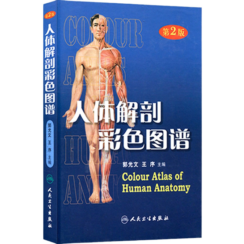 人体解剖彩色图谱第2版郭光文主编 人卫人体解剖学图谱教学书籍西医临床解剖学肌骨功能外科医生教学书奈特局部系统解剖全彩教材