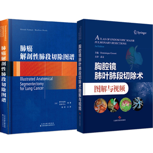 正版2本 肺癌解剖性肺段切除图谱+胸腔镜肺叶肺段切除术图解与视频 肺段切除术技巧右上右下肺肺段切除术左上肺左下肺袖式段切除术