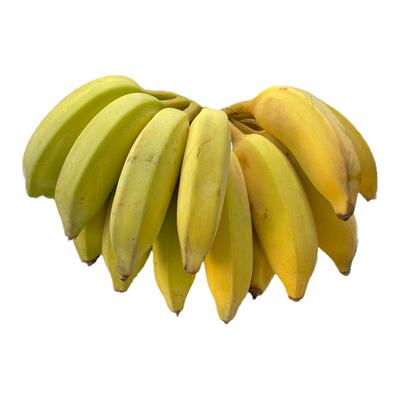 云南河口芭蕉粉蕉西贡蕉新鲜热带水果现摘现发孕妇水果无催熟5斤