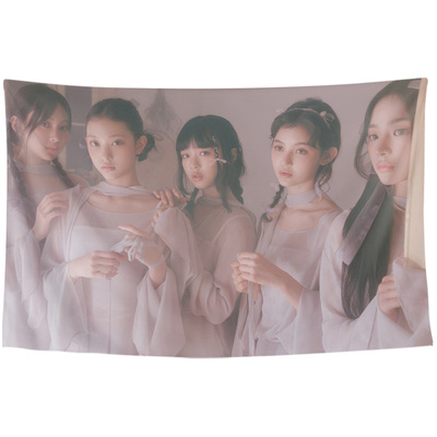 NewJeans演唱会应援手幅写真挂布