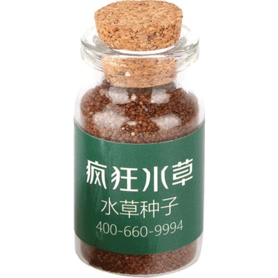 新手推荐好养7天发芽水草种子