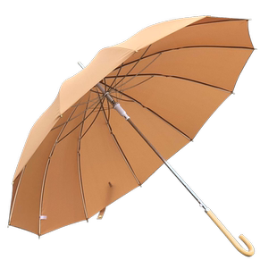 12骨女生雨伞复古淡雅防风长柄伞晴雨伞太阳伞自动文艺伞木柄雨伞