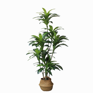 高端轻奢盆栽大型仿真绿植物室内客厅摆件装饰仿真巴西木假树造景