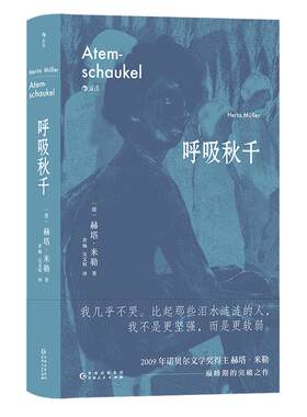 后浪外国文学呼吸秋千