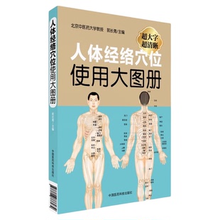 超清正版人体经络穴位使用大图册图解人体经络穴位标准大图人体穴位经络一找就准全身穴位中医按摩经络穴位按摩养生大全理疗按摩书