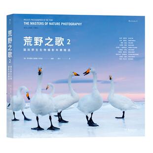 后浪正版 荒野之歌2 国际野生生物摄影年赛精选 100幅自然影像100个荒野故事 艺术摄影书籍