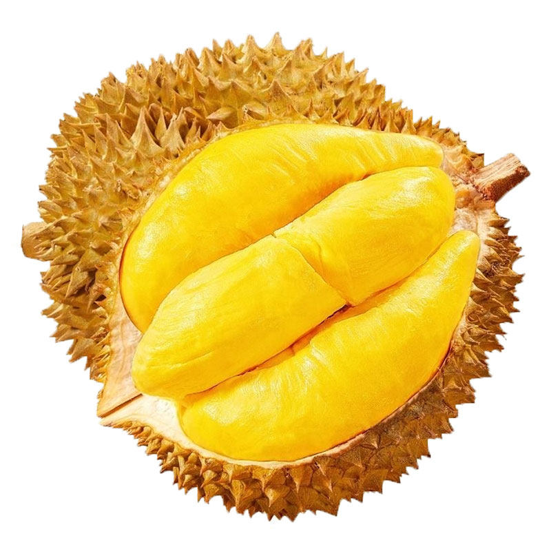 正宗金枕榴莲津果鲜包邮