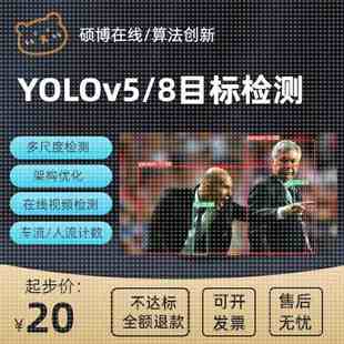python计算机视觉目标检测图像识别代做定制 yolo pytorch opencv