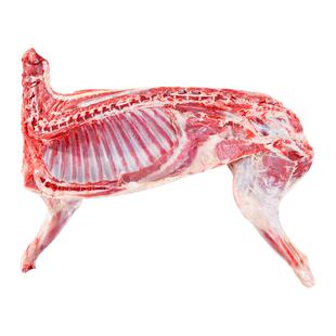 半只羊10斤宁夏盐池滩羊肉羊排羊腿生羊肉新鲜现杀冷冻年货礼盒5
