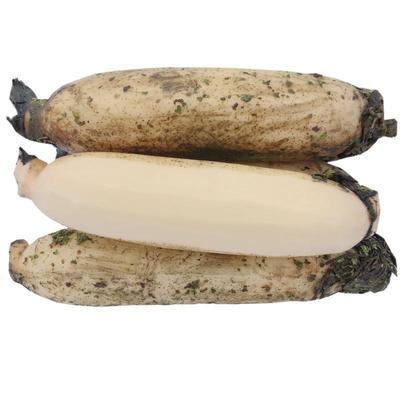 正宗洪湖粉藕煲汤莲藕粉糯桂花糯米藕新鲜现挖现发湖北特产蔬菜