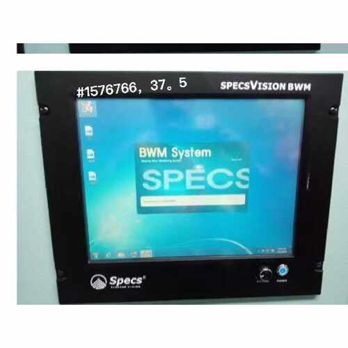 询Specs Vision bwm