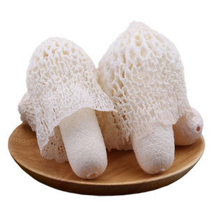 新鲜竹荪花竹荪菌云南特产鲜活竹笙红托竹孙野生菌火锅食材