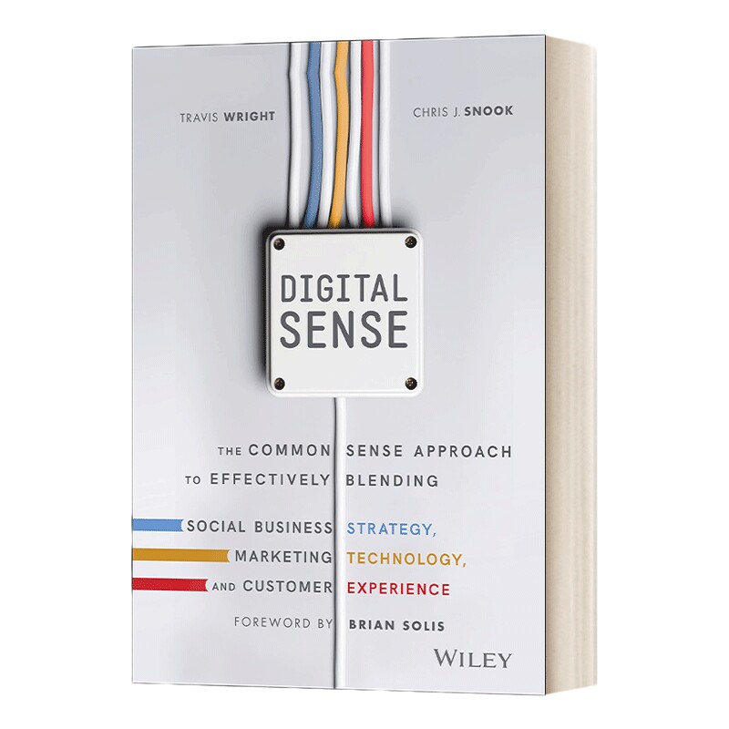 英文原版 Digital Sense 感知力 成为数字化时代的领跑者 有效融合社会商业战略的常识方法 精装 英文版 进口英语原版书籍