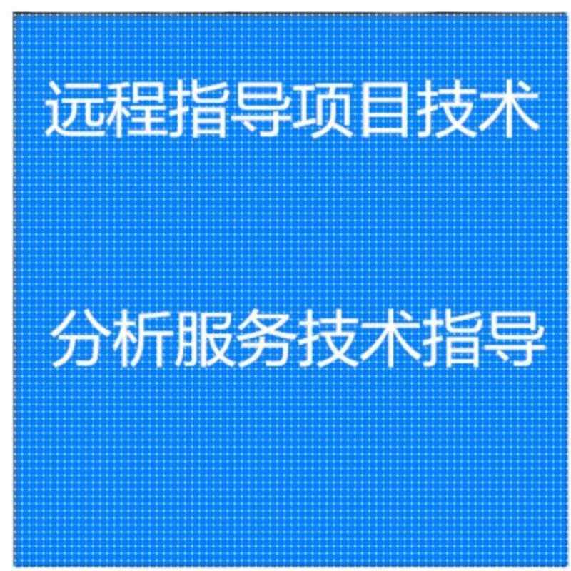 远程指导项目技术分析服务技术数据分析指导