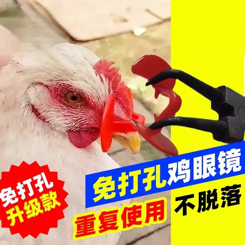 防啄鸡用眼镜鸡眼睛带的眼罩公鸡打架免穿孔鸡嘴卡环无栓卡戴鼻环