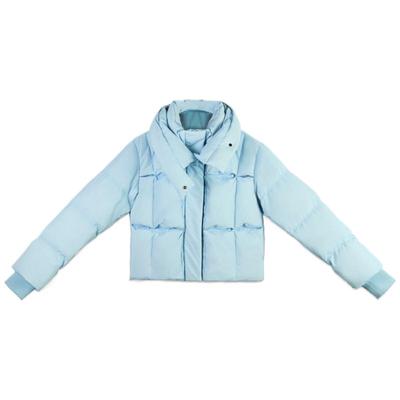 艾尚雪新款白鹅绒短款鹅绒服女士