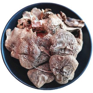 野生北风菌干货冷菌 一窝菌 云南大理土特产蘑菇煲汤鲜美营养美味