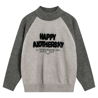 韩范立体毛巾绣半高领针织毛衣潮