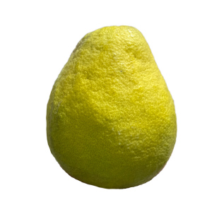 湖南柚厚皮沙田柚青柚香柚衡阳土柚子非广东梅州广西容县蜜柚10斤