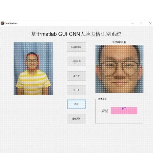 python代编程代做opencv图像识别目标检测yolo语义分割matlab程序