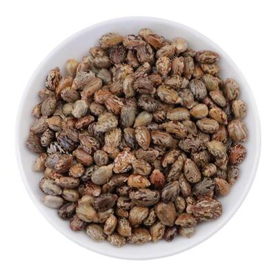 中药蓖麻子500g正品蓖麻籽种子冰麻子红大麻子芘麻子新鲜生蓖麻仁