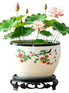 水培荷花碗莲铜钱草睡莲盆陶瓷