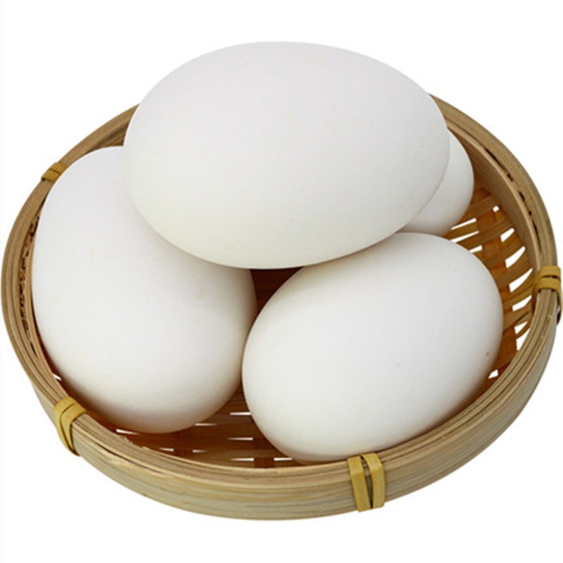 黃河灘孕婦鵝蛋新鮮正宗土鵝蛋農(nóng)家散養(yǎng)新鮮孕婦特大12枚裝
