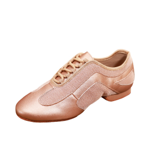 DRH-101 摩登舞练功鞋交谊舞鞋女拉丁教师鞋女成人舞蹈鞋夏季网眼