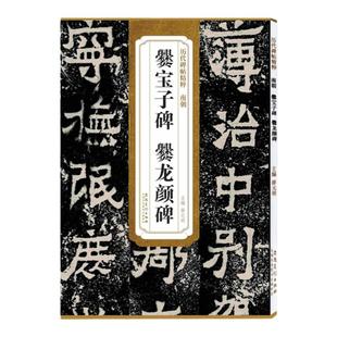 历代碑帖精粹 南朝 爨宝子碑爨龙颜碑 简体旁注附技法解析第三辑碑帖毛笔隶书书法练字帖 安徽美术出版社