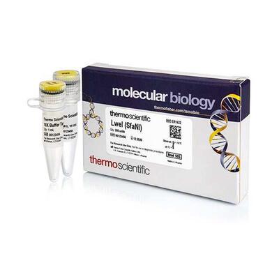 LweI (SfaNI) (10 UµL) thermofisher上海生物网