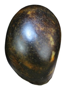 和田玉黑皮撒金皮双色籽料原石把