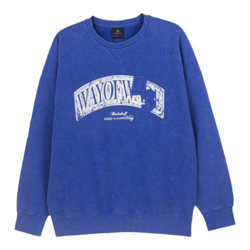 Lining/李宁正品2024春季新款男子运动休闲宽松圆领卫衣AWDU003-3