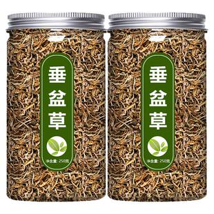 垂盆草的功效与作用中药材正品官方旗舰店新鲜野生锤盆草泡水泡茶