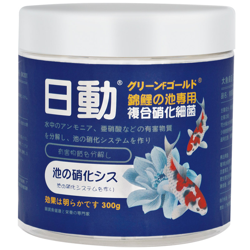 日动锦鲤鱼池乳酸菌除青苔脂肪肝