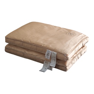 高端蚕丝护颈椎枕头睡眠成人助男女枕芯整头单人一只装一对家用