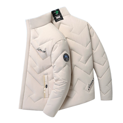 立领短款棉服男士青年帅气