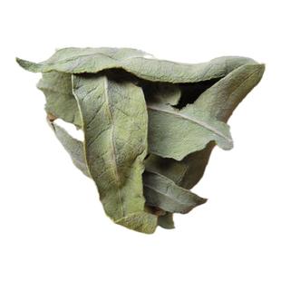 罗布麻叶500g正品 新疆高原罗布麻叶茶压非特级花草茶叶降养生茶