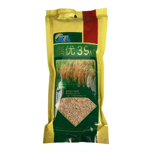 香米再生稻水稻种子泰优390产量高适应性广口感软糯