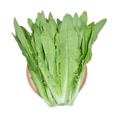 油麦菜籽油麦菜种籽油麦菜籽