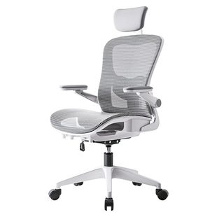 人体工学椅家用电脑椅办公椅舒适久坐学生学习椅宿舍电竞座椅椅子