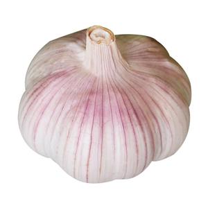 2025年新干蒜新晒农家种植多瓣儿干蒜头籽大蒜新鲜种籽整箱批发