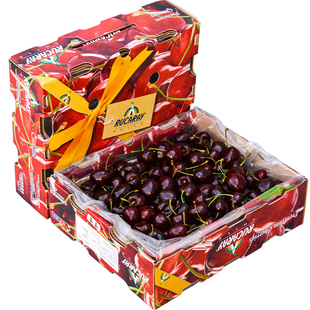 空运智利桑提娜车厘子新鲜水果包邮5斤樱桃当季整箱3j进口5j礼盒4