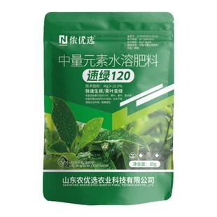 正品速绿120叶绿素提苗生根壮棵叶片增绿增厚中量元素水溶叶面肥