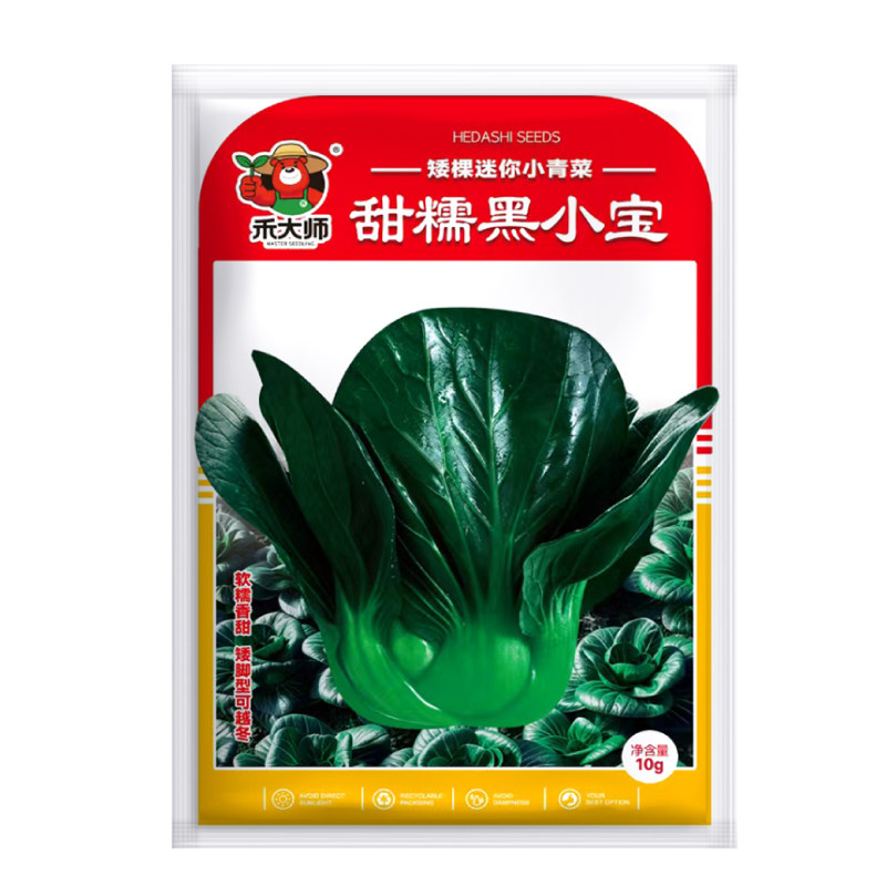 甜糯黑小宝小青菜种子矮脚束腰黑叶苏州青庭院盆栽绿色蔬菜种籽
