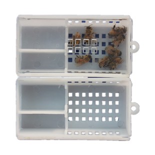 蜜蜂多功能 塑料透明王笼 邮寄囚王储王介台一体王笼 淘蜜园蜂具