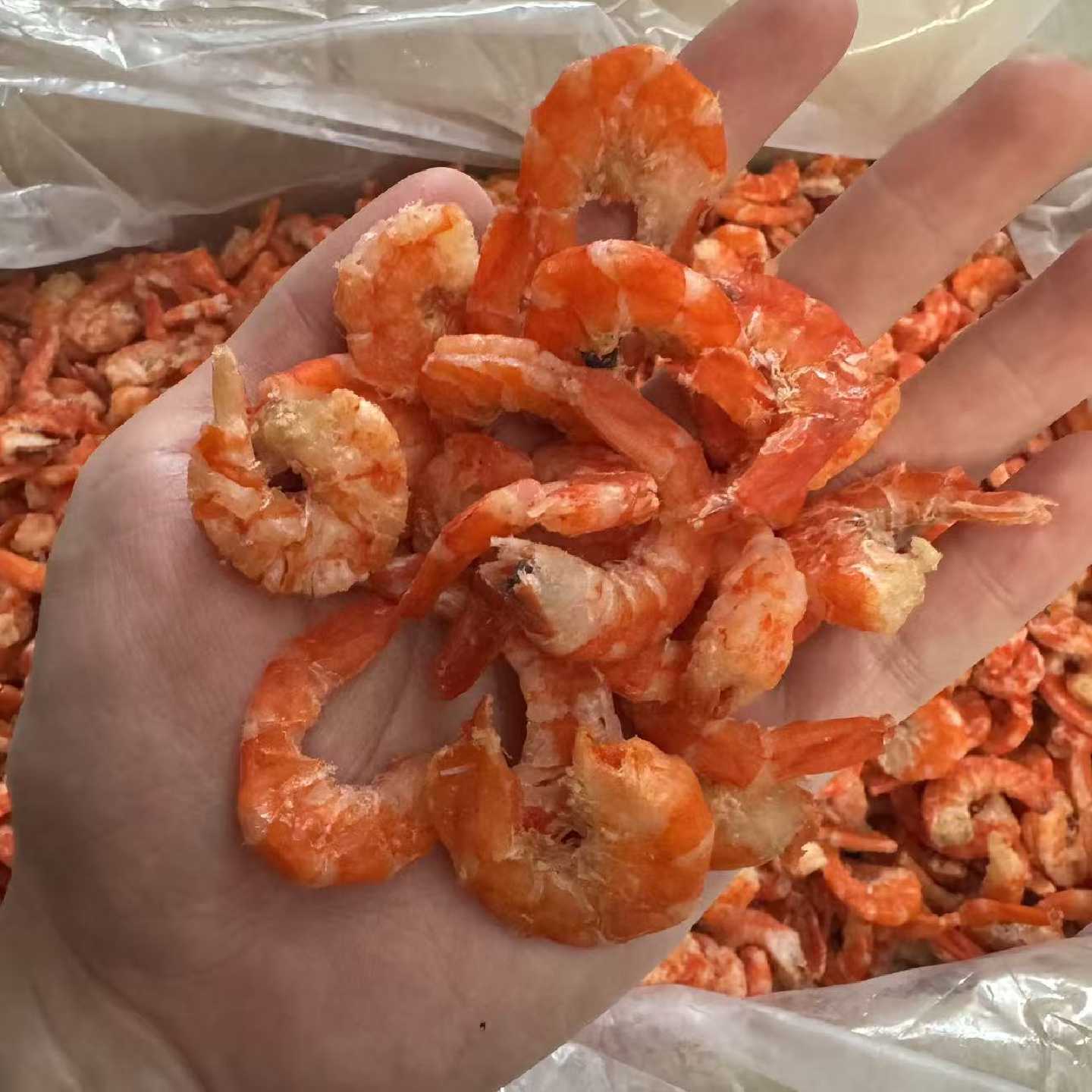 广东汕尾大虾米虾仁干干货商用淡干鲜甜无盐新鲜特大虾干纯虾肉0